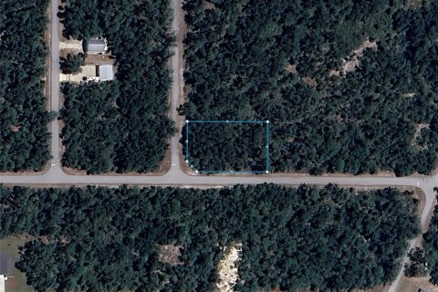 Land in Port Charlotte, Florida № 1564533 - photo 3
