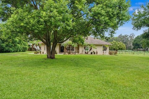 House in Dover, Florida 3 bedrooms, 172.8 sq.m. № 2258198