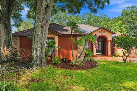 House in Tampa, Florida 4 bedrooms, 224.92 sq.m. № 2299853