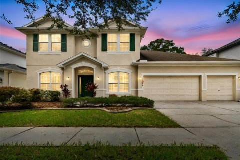 House in Odessa, Florida 4 bedrooms, 287.81 sq.m. № 2299368
