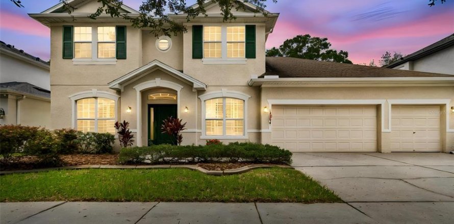 Villa ou maison à Odessa, Floride 4 chambres, 287.81 m2 № 2299368