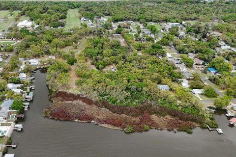 Terrain à Riverview, Floride № 2115703