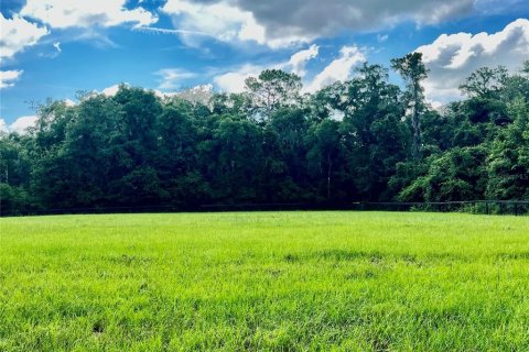 Terreno en Ocala, Florida № 2231271