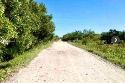 Commercial property in Homestead, Florida № 1699479 - photo 8