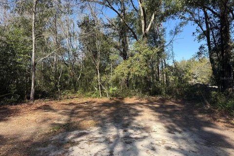 Terrain à vendre à Ocala, Floride № 2229371 - photo 6