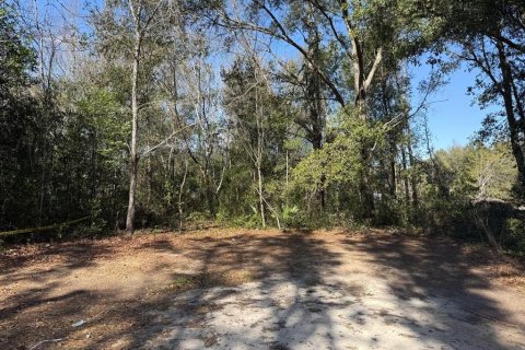 Terrain à vendre à Ocala, Floride № 2229371 - photo 3
