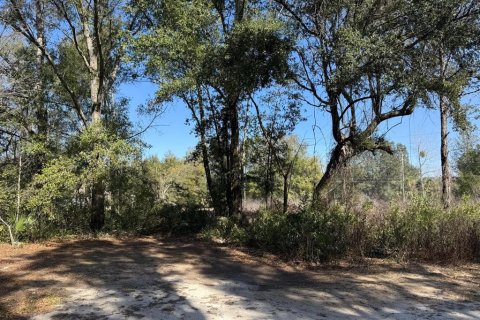 Terrain à vendre à Ocala, Floride № 2229371 - photo 4