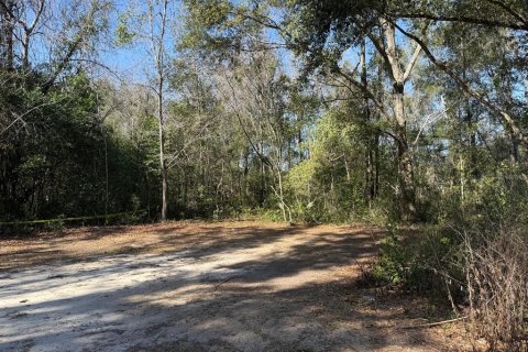 Terrain à vendre à Ocala, Floride № 2229371 - photo 2