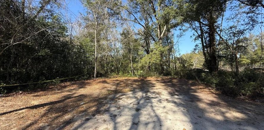 Terrain à Ocala, Floride № 2229371