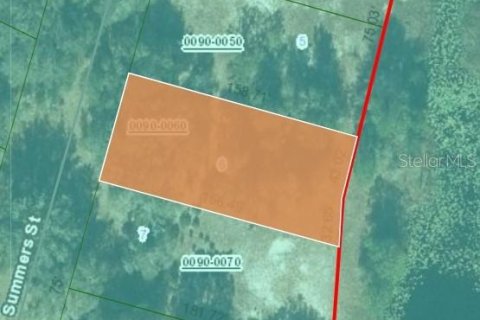 Land in Interlachen, Florida № 2228953