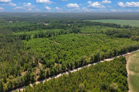 Terreno en venta en Branford, Florida № 2099183 - foto 8