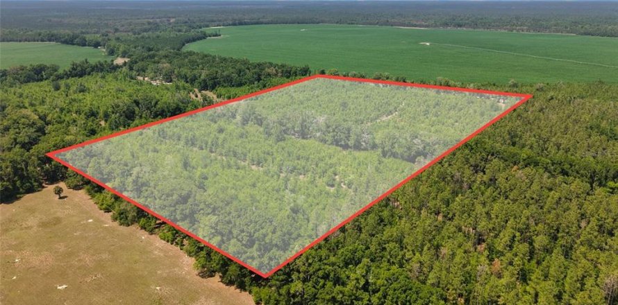 Terreno en Branford, Florida № 2099183