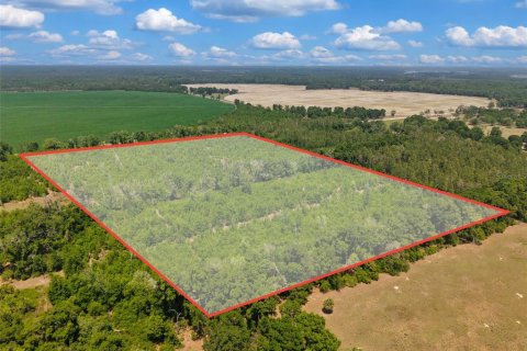 Terreno en venta en Branford, Florida № 2099183 - foto 21