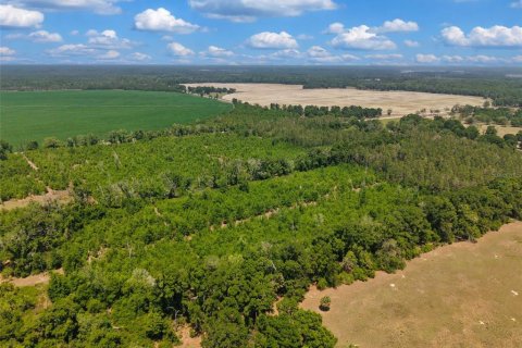 Terreno en venta en Branford, Florida № 2099183 - foto 3