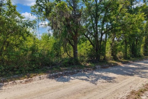 Terreno en venta en Branford, Florida № 2099183 - foto 23