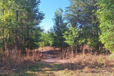 Terreno en venta en Branford, Florida № 2099183 - foto 15