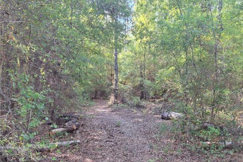 Terreno en venta en Branford, Florida № 2099183 - foto 18
