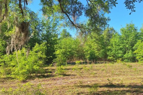 Terreno en venta en Branford, Florida № 2099183 - foto 12