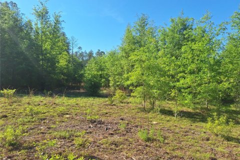 Terreno en venta en Branford, Florida № 2099183 - foto 19