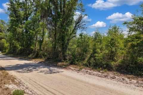 Terreno en venta en Branford, Florida № 2099183 - foto 22
