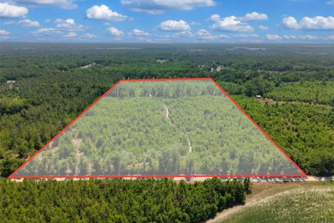 Terreno en venta en Branford, Florida № 2099183 - foto 2