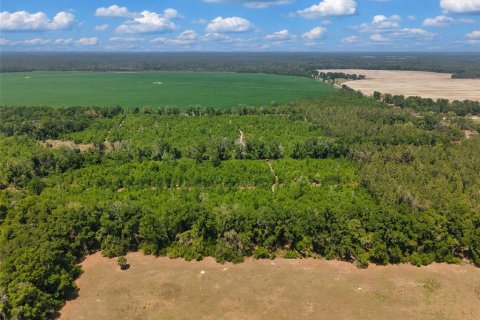 Terreno en venta en Branford, Florida № 2099183 - foto 5