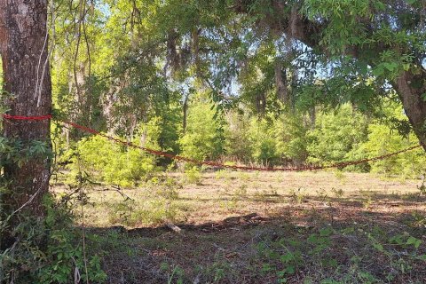 Terreno en venta en Branford, Florida № 2099183 - foto 10