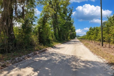 Terreno en venta en Branford, Florida № 2099183 - foto 24