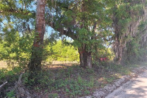 Terreno en venta en Branford, Florida № 2099183 - foto 11