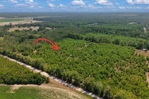 Terreno en venta en Branford, Florida № 2099183 - foto 6