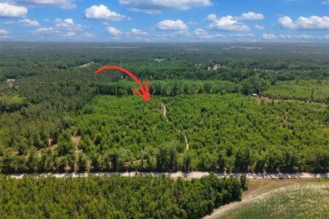 Terreno en venta en Branford, Florida № 2099183 - foto 4