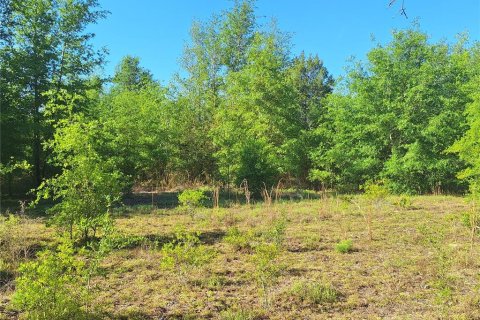 Terreno en venta en Branford, Florida № 2099183 - foto 13