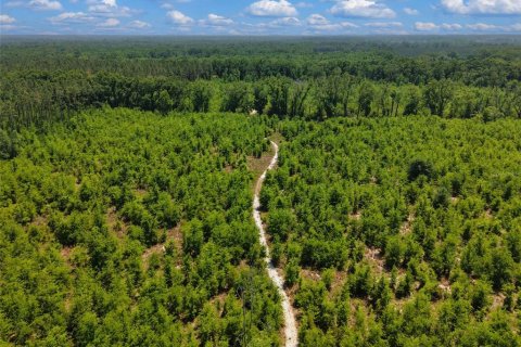 Terreno en venta en Branford, Florida № 2099183 - foto 9