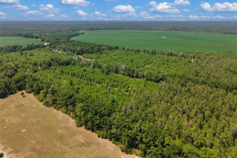 Terreno en venta en Branford, Florida № 2099183 - foto 7