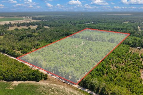 Terreno en venta en Branford, Florida № 2099183 - foto 20