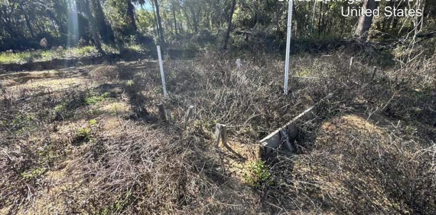 Land in Citrus Springs, Florida № 1778169