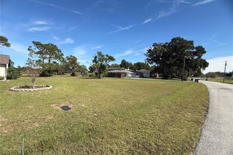 Land in Ridge Manor, Florida № 2115177
