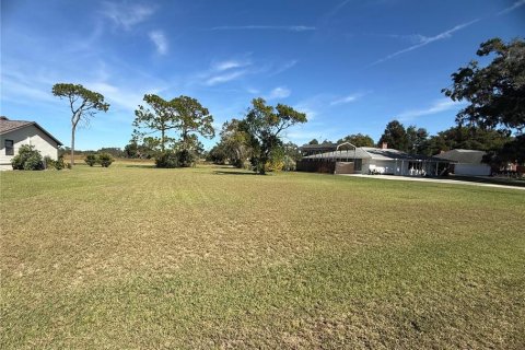 Land in Ridge Manor, Florida № 2115177 - photo 2