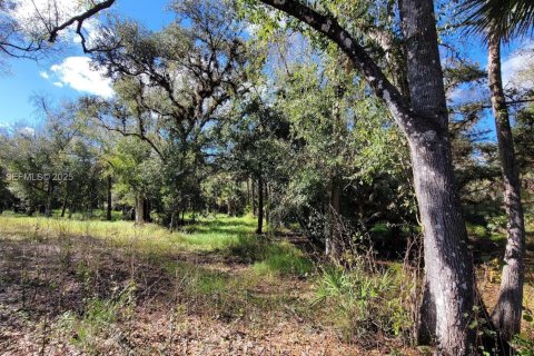 Terrain à LaBelle, Floride № 2088982