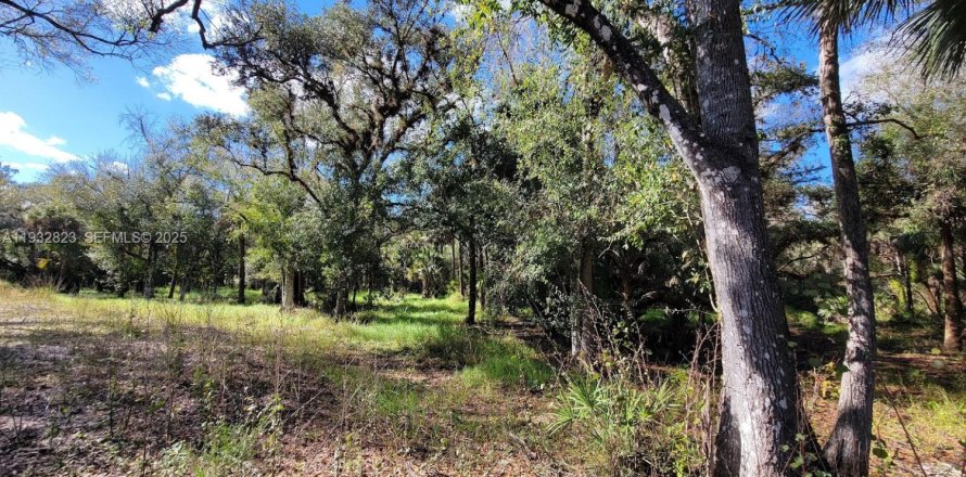 Terrain à LaBelle, Floride № 2088982
