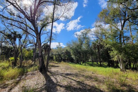 Terrain à vendre à LaBelle, Floride № 2088982 - photo 4