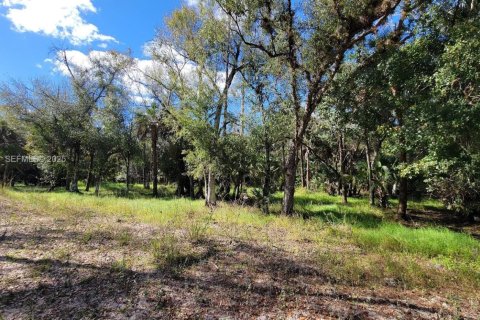 Terrain à vendre à LaBelle, Floride № 2088982 - photo 5