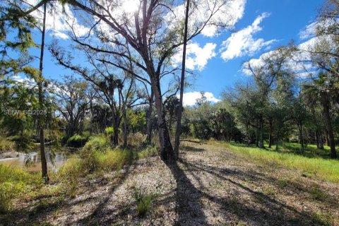 Terrain à vendre à LaBelle, Floride № 2088982 - photo 6
