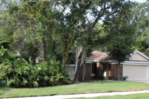 Villa ou maison à Palm Harbor, Floride 3 chambres, 136.75 m2 № 2429583