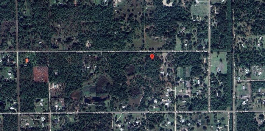 Land in Clewiston, Florida № 1901809