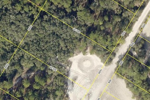 Land in Webster, Florida № 2163857