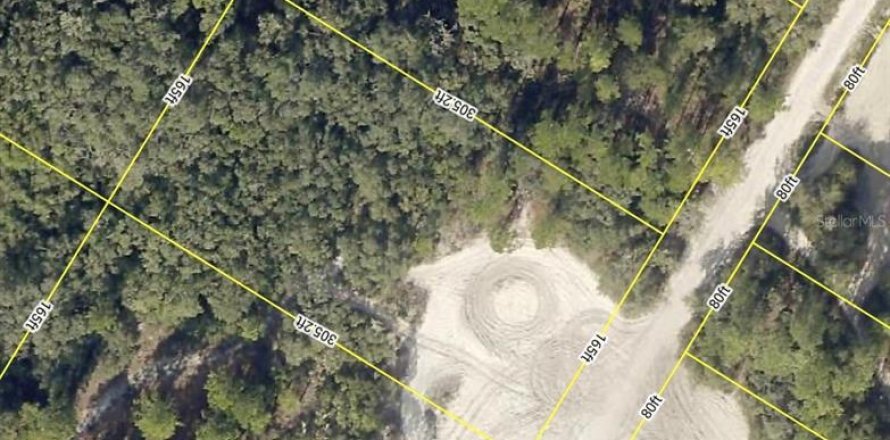 Land in Webster, Florida № 2163857