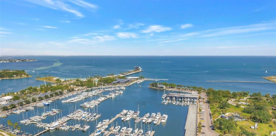 Condo in Saint Petersburg, Florida, 1 bedroom № 2206703