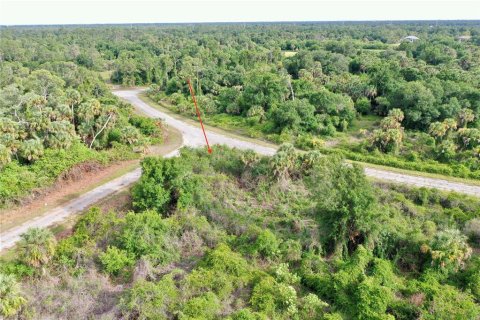 Land in North Port, Florida № 2201692 - photo 4