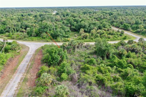 Land in North Port, Florida № 2201692 - photo 6